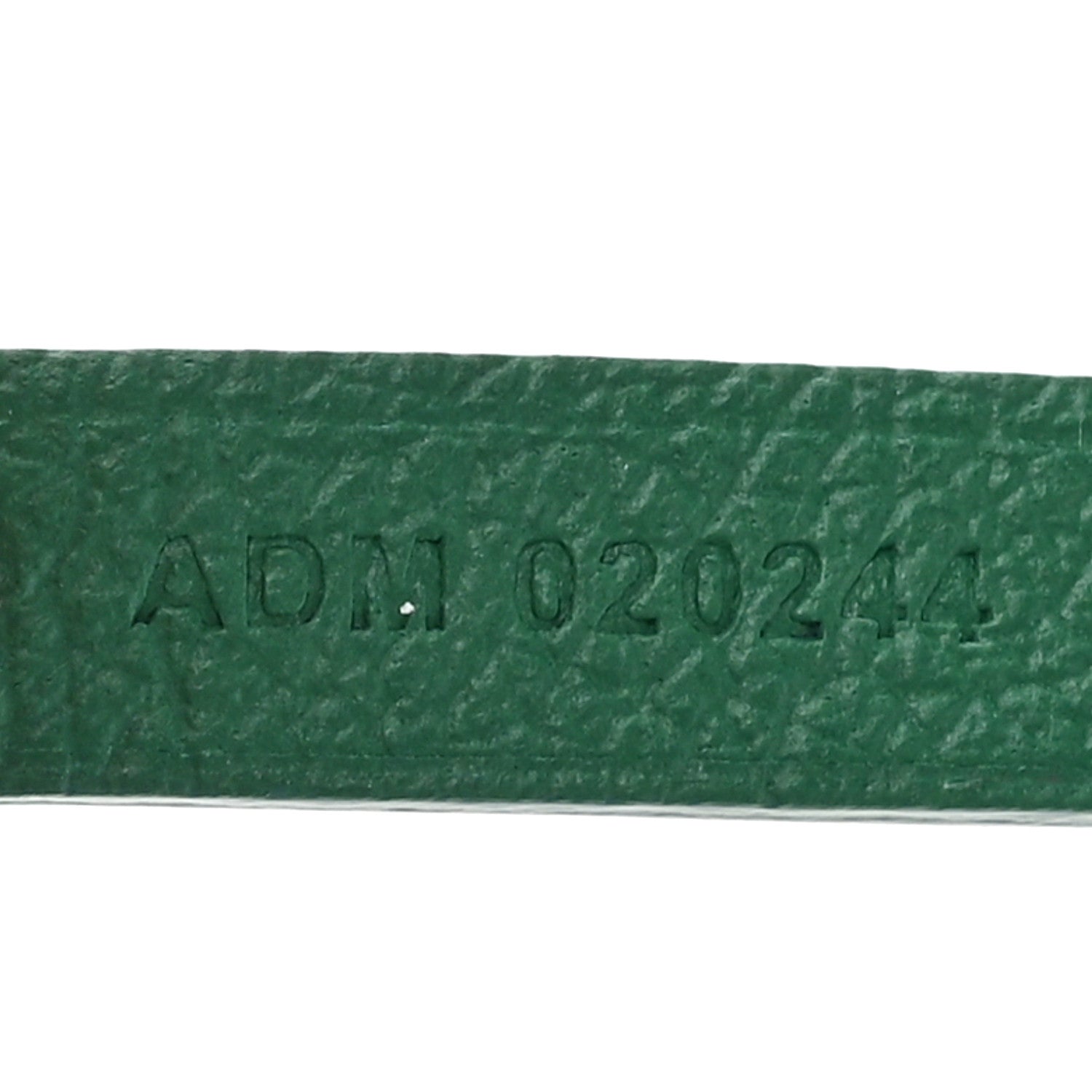 Goyard Goyardine Saint Louis PM Green 9 of 12