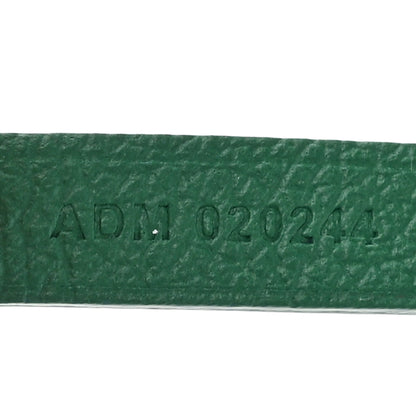 Goyard Goyardine Saint Louis PM Green 9 of 12