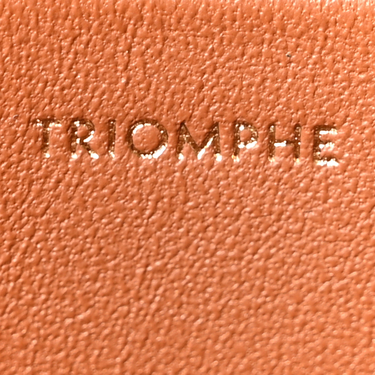 Celine Natural Calfskin Triomphe Shoulder Bag Tan 7 of 10