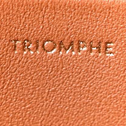 Celine Natural Calfskin Triomphe Shoulder Bag Tan 7 of 10