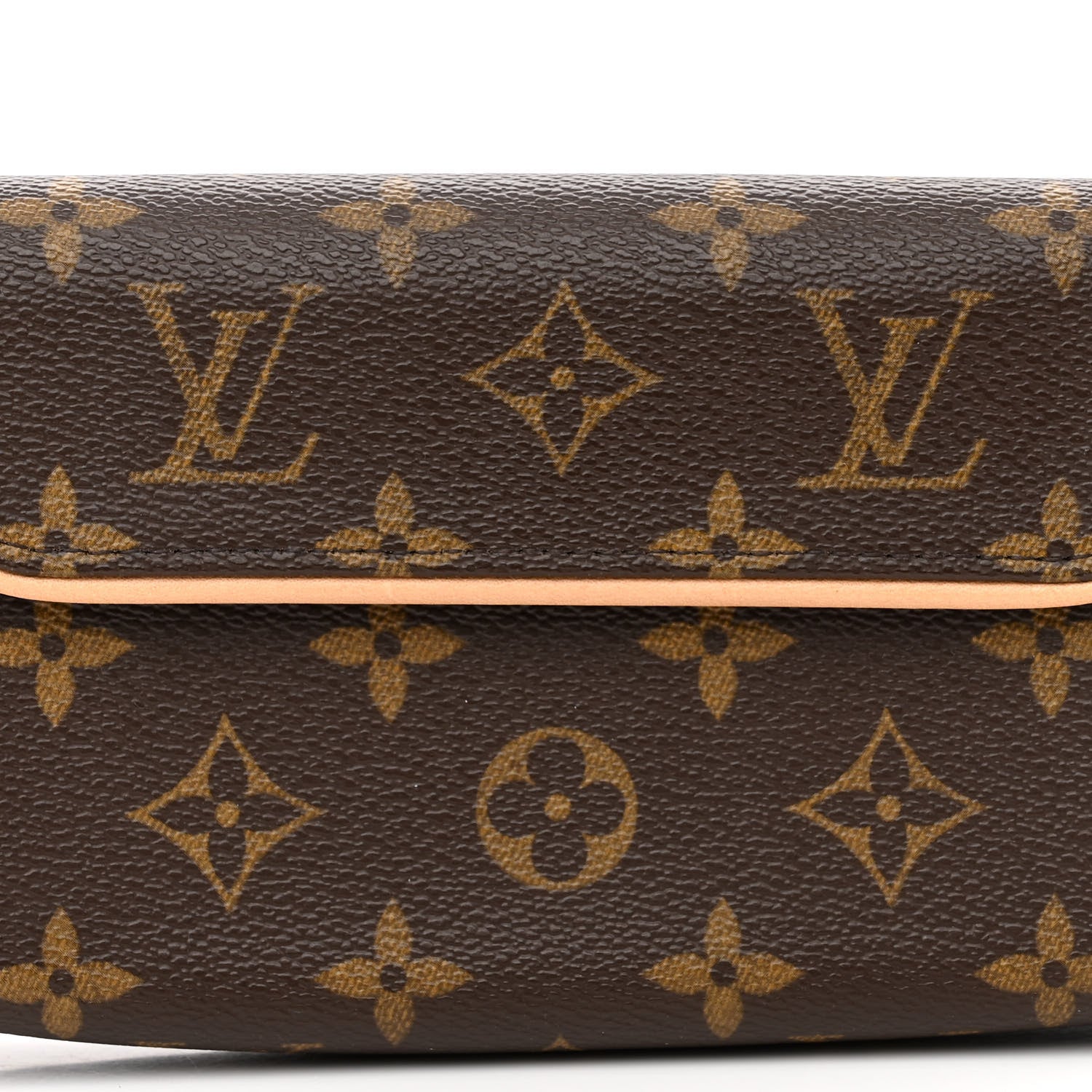 Louis Vuitton Monogram Pochette Florentine L 10 of 12