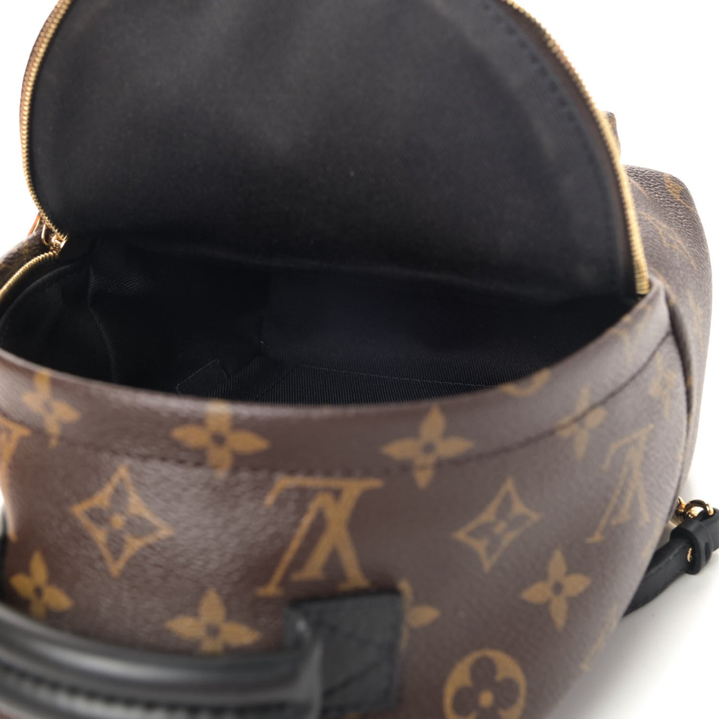 Monogram Palm Springs Backpack Mini