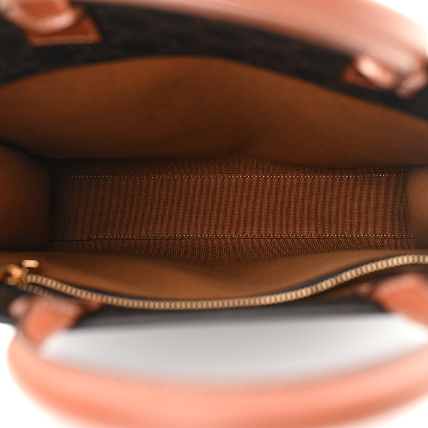 Triomphe Canvas Calfskin Small Vertical Cabas Tan
