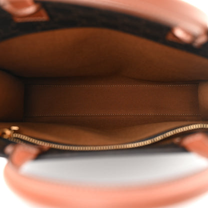 Celine Triomphe Canvas Calfskin Small Vertical Cabas Tan 5 of 12