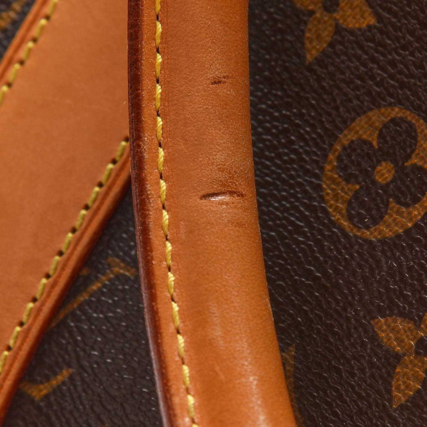 Monogram Carryall