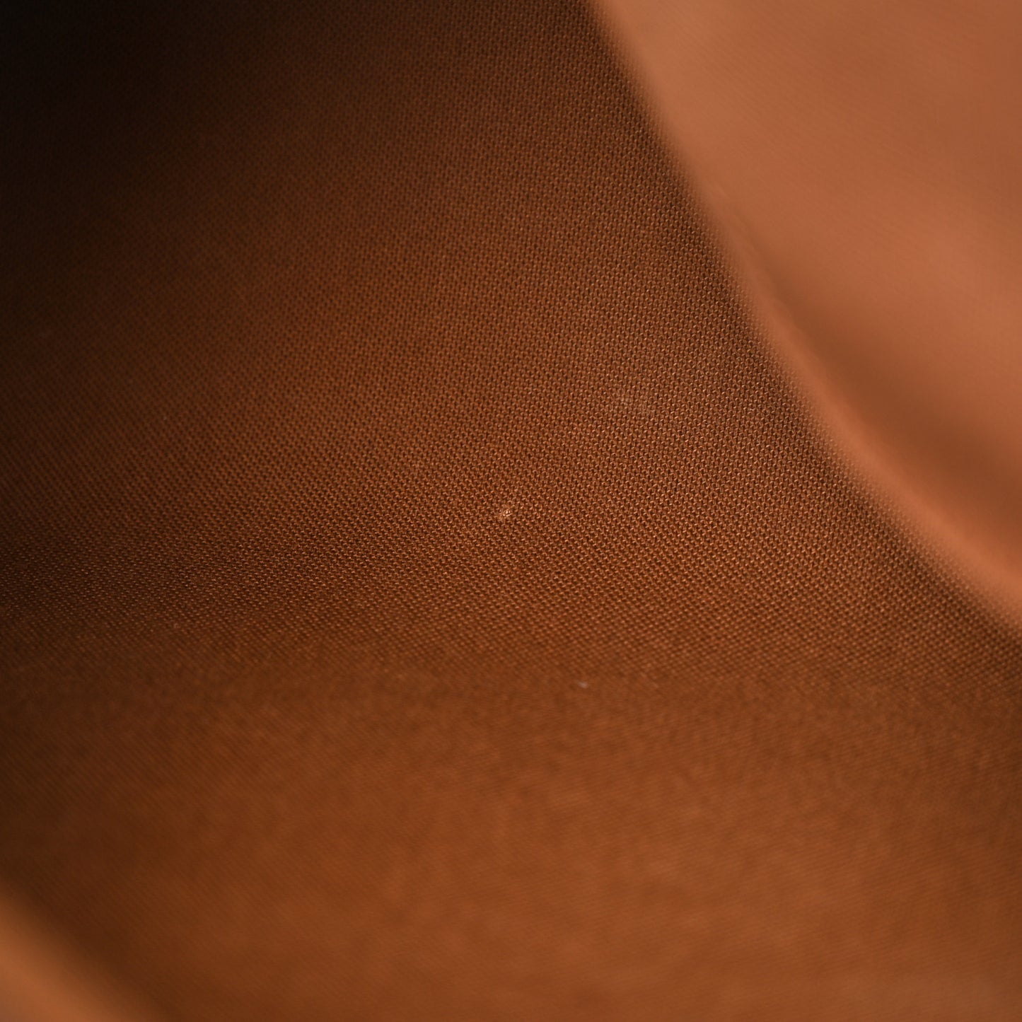 Monogram Speedy Bandouliere 30