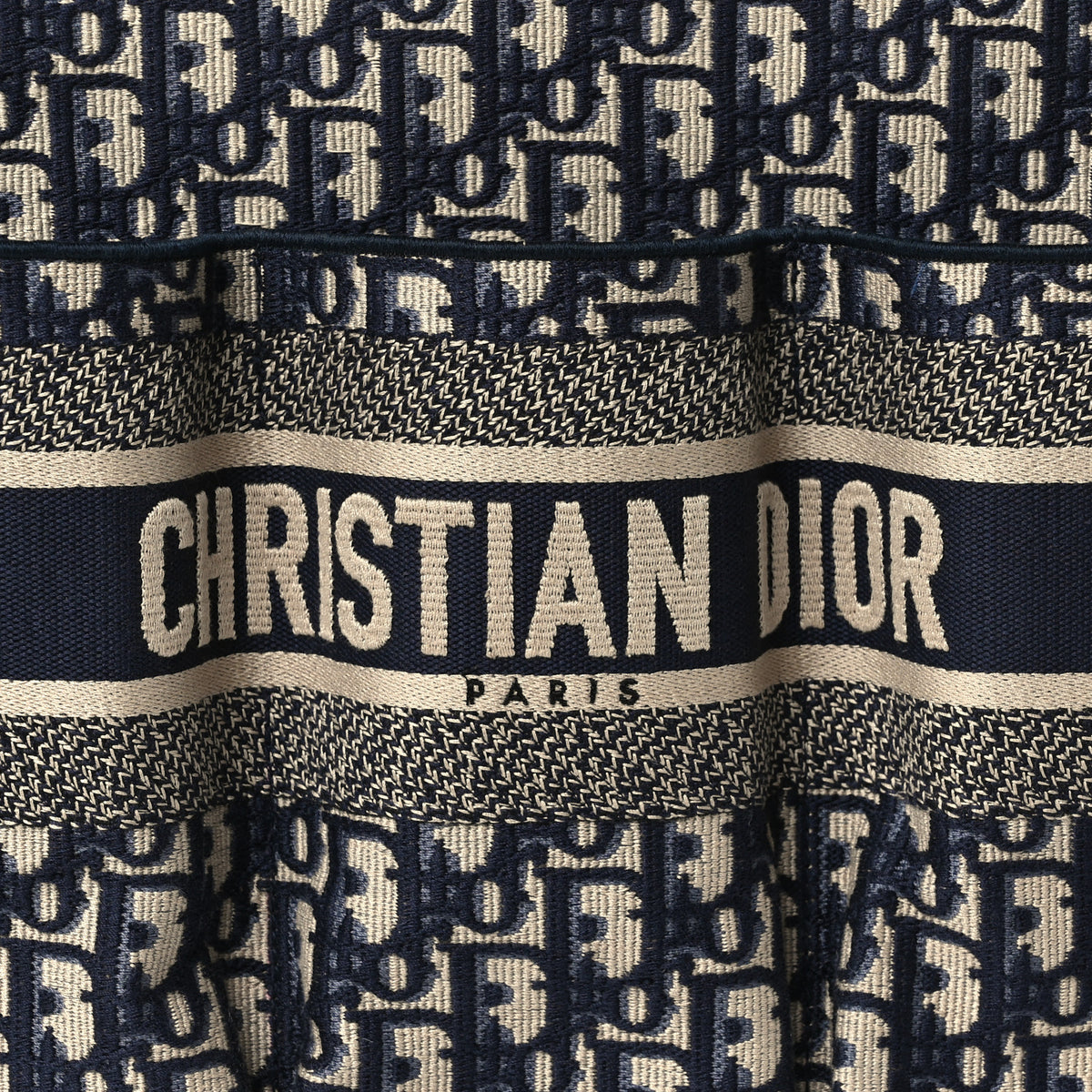 Oblique Catherine Tote Blue