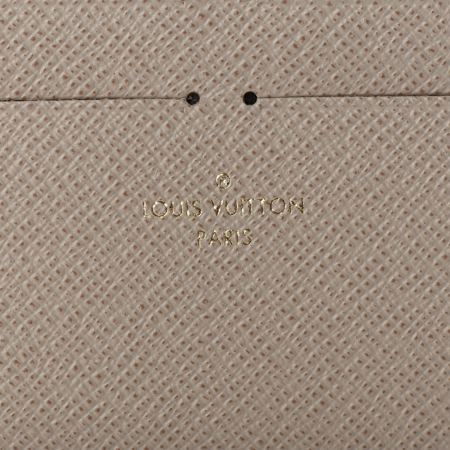 Louis Vuitton Calfskin Felicie Chain Wallet Card Holder Insert Galet 5 of 5