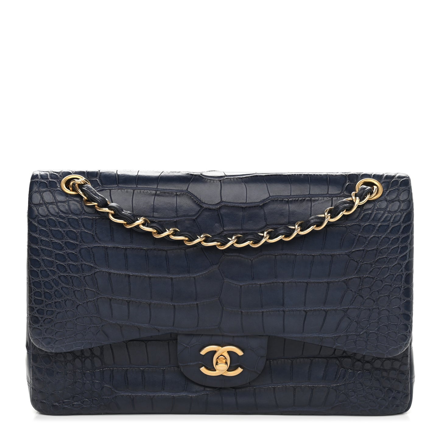 Alligator Jumbo Double Flap Blue