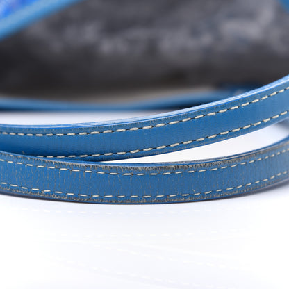 Goyard Goyardine Saint Louis PM Sky Blue 22 of 22