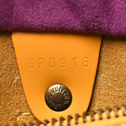 Louis Vuitton Epi Speedy 25 Tassil 7 of 12