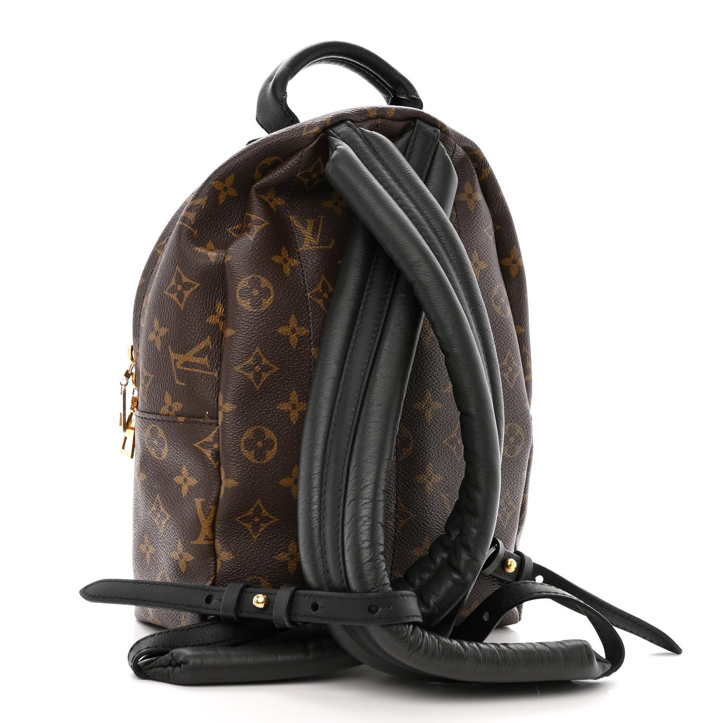 Monogram Palm Springs Backpack PM