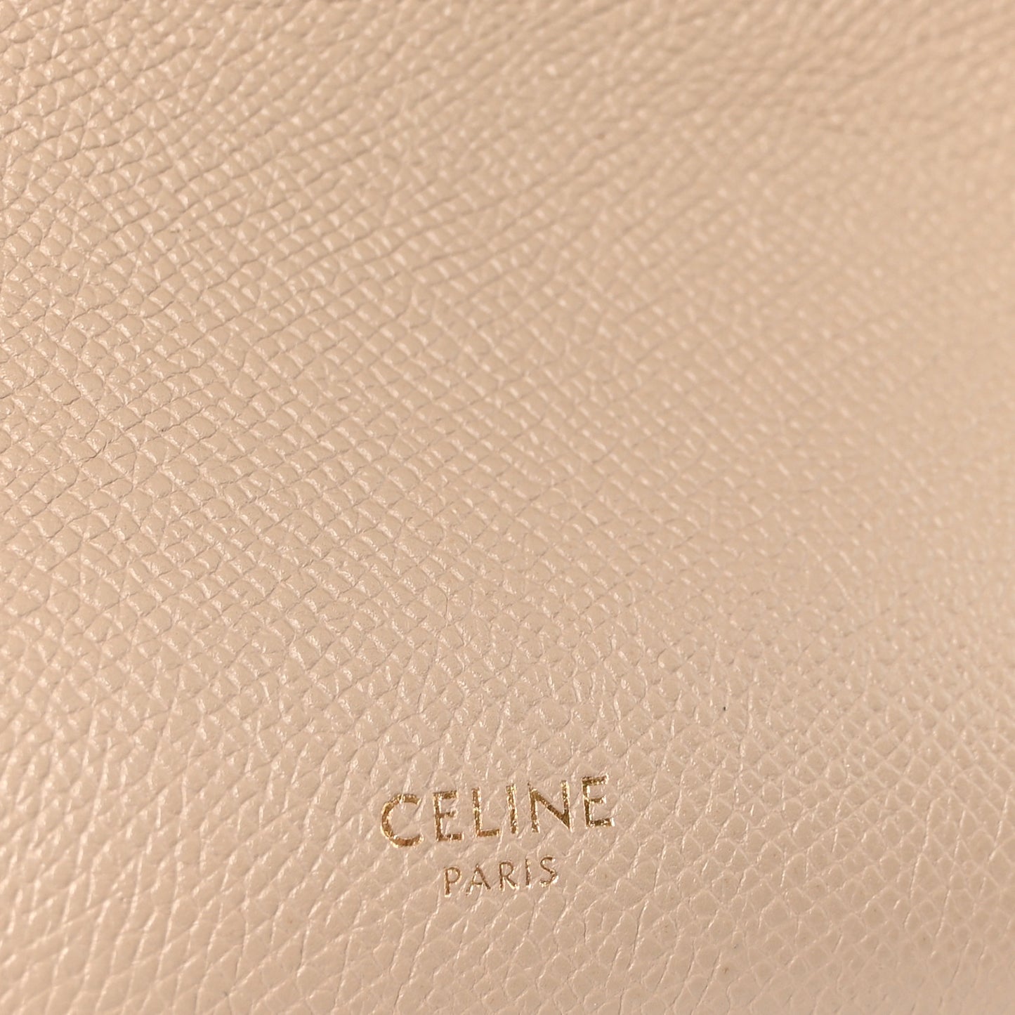 Grained Calfskin Micro Belt Bag Light Taupe