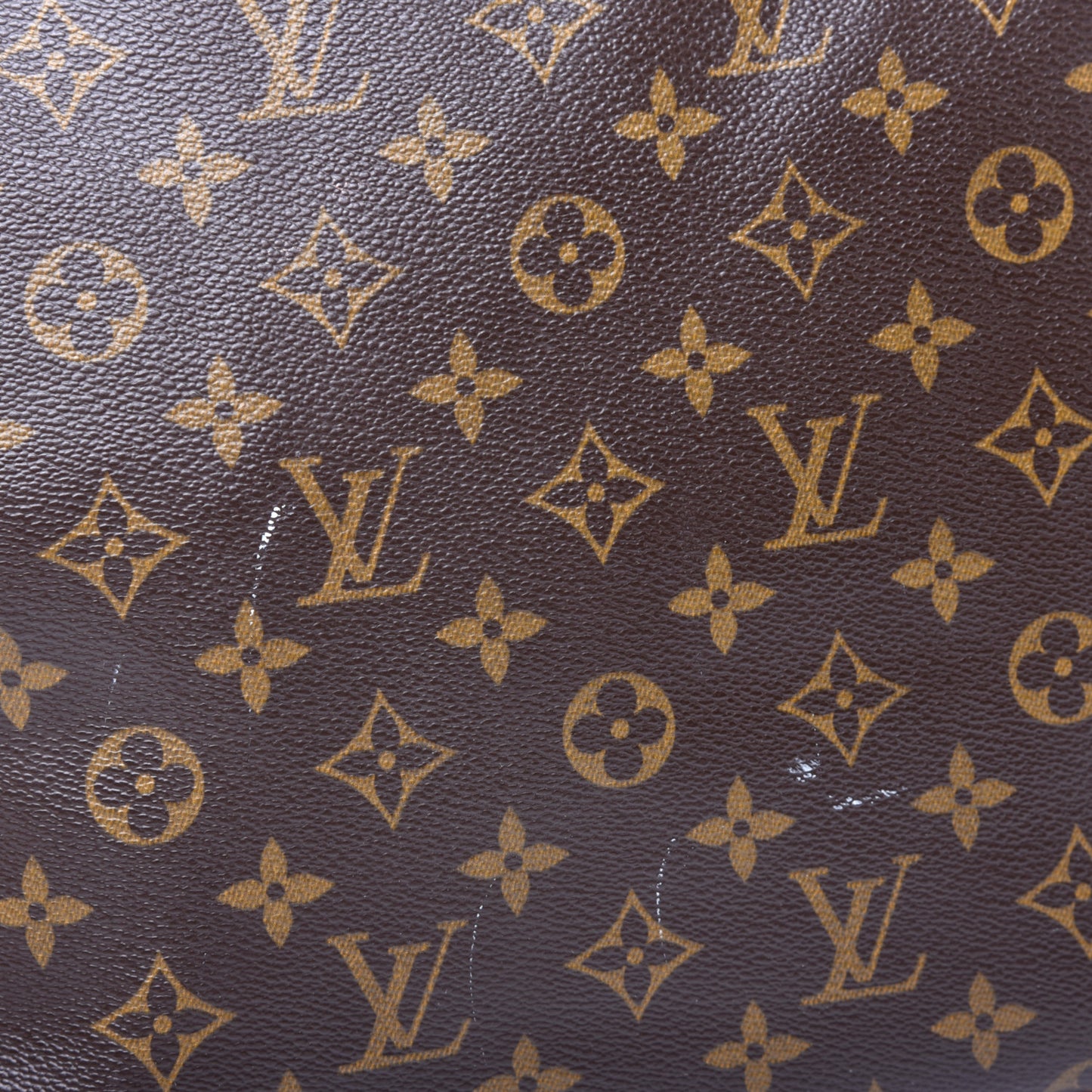 Monogram Cabas Mezzo