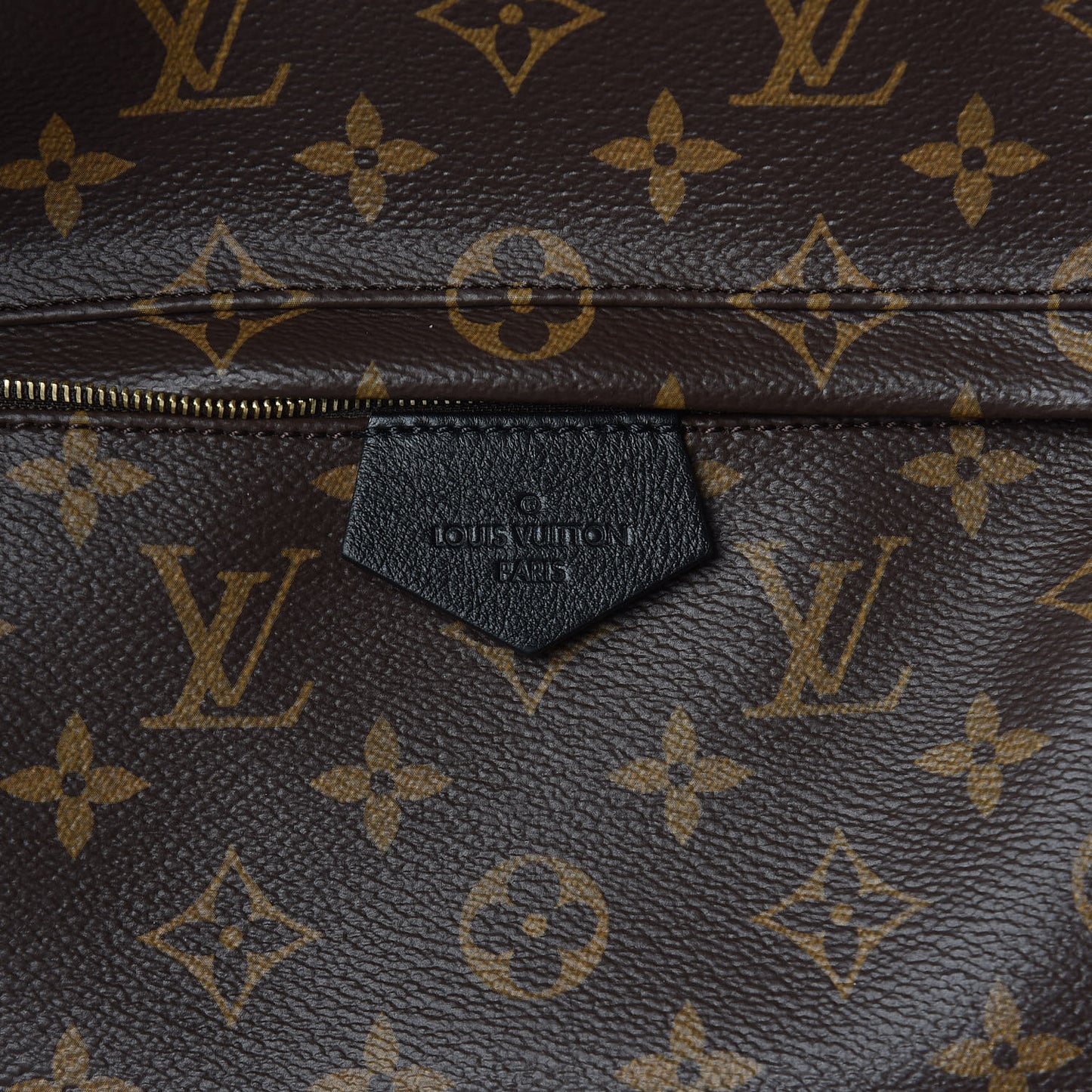 Monogram Palm Springs Backpack MM