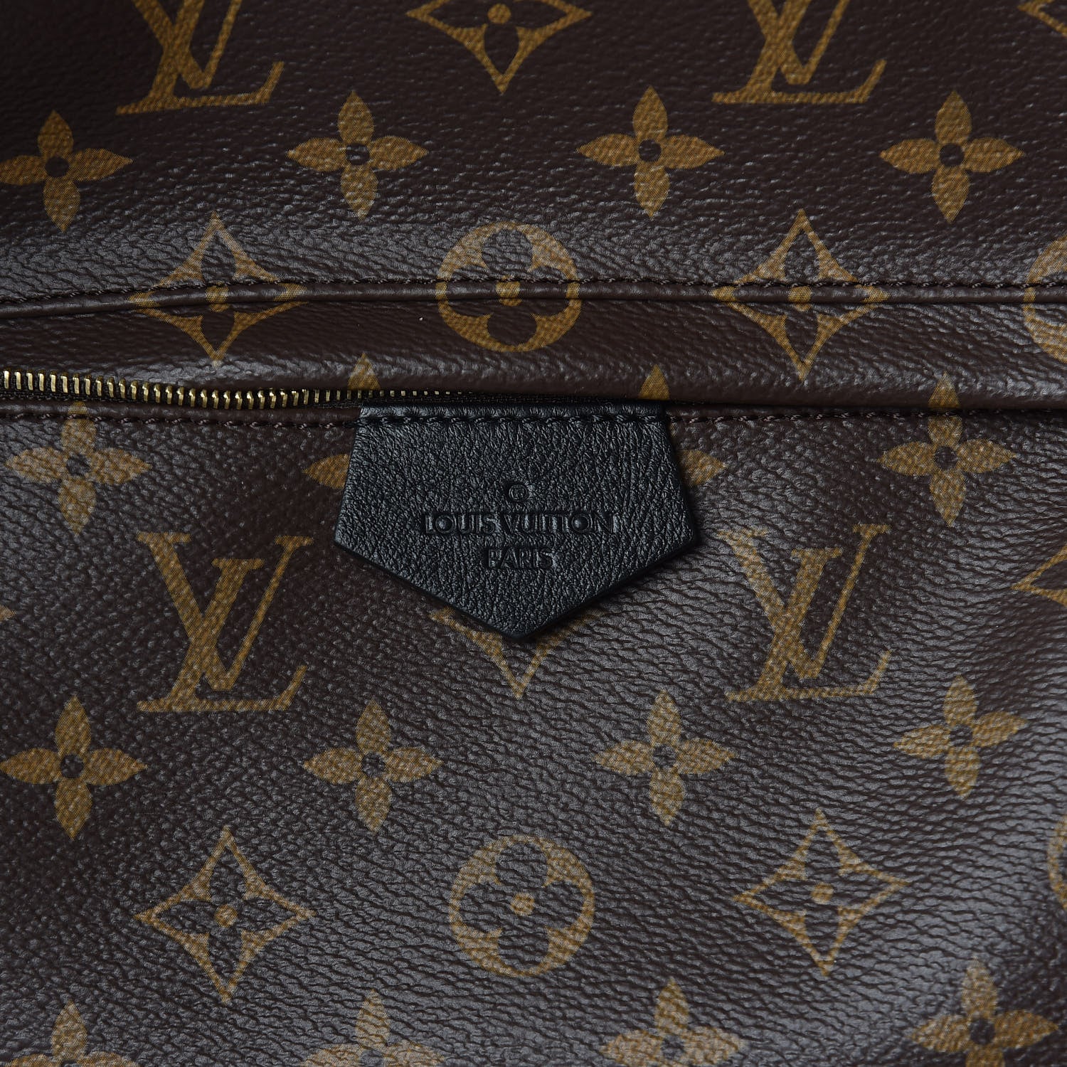 Louis Vuitton Monogram Palm Springs Backpack MM 10 of 10