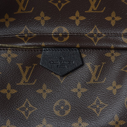 Louis Vuitton Monogram Palm Springs Backpack MM 10 of 10