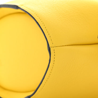 Loewe Calfskin Mini Elephant Crossbody Bag Yellow 9 of 15