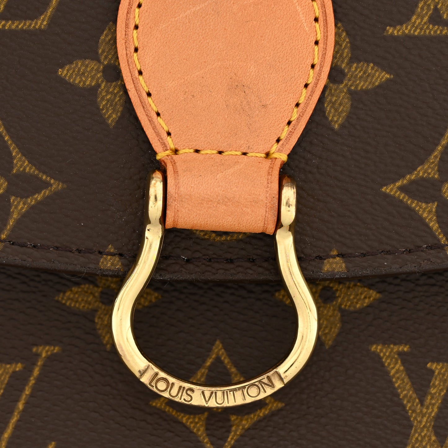 Monogram Saint Cloud MM