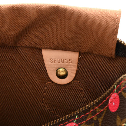 Louis Vuitton Monogram Cerises Speedy 25 8 of 17