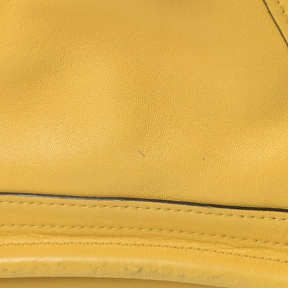 Chloe Calfskin Medium Military Paraty Citrus Grove 11 of 18