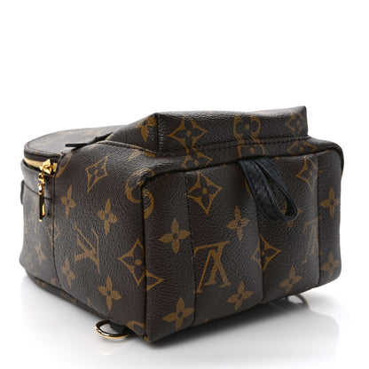 Louis Vuitton Monogram Palm Springs Backpack Mini 4 of 9