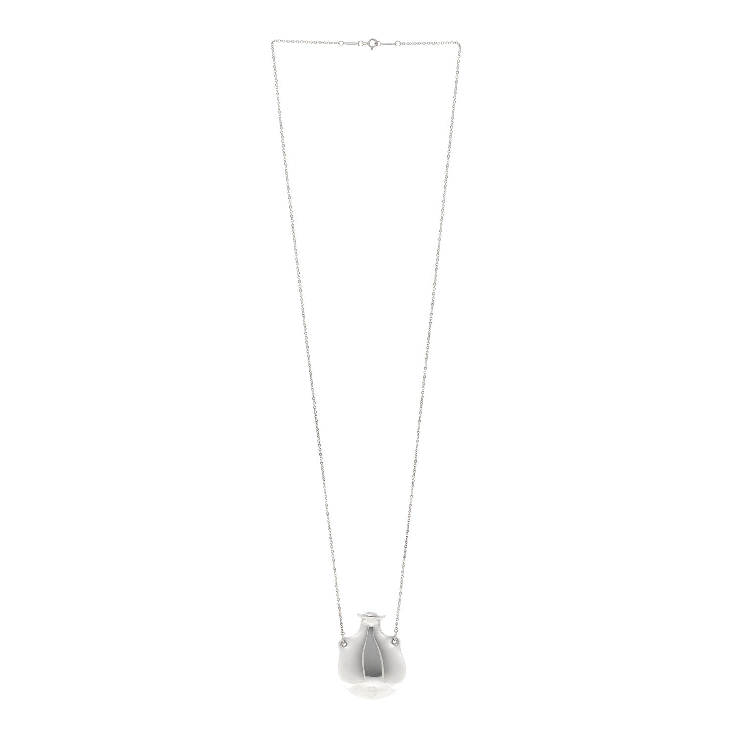 Tiffany Sterling Silver Medium Elsa Peretti Bottle Pendant Necklace 3 of 4