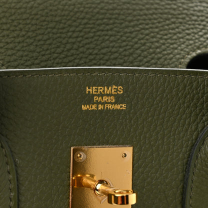 Hermes Togo Birkin 35 Canopee 6 of 19