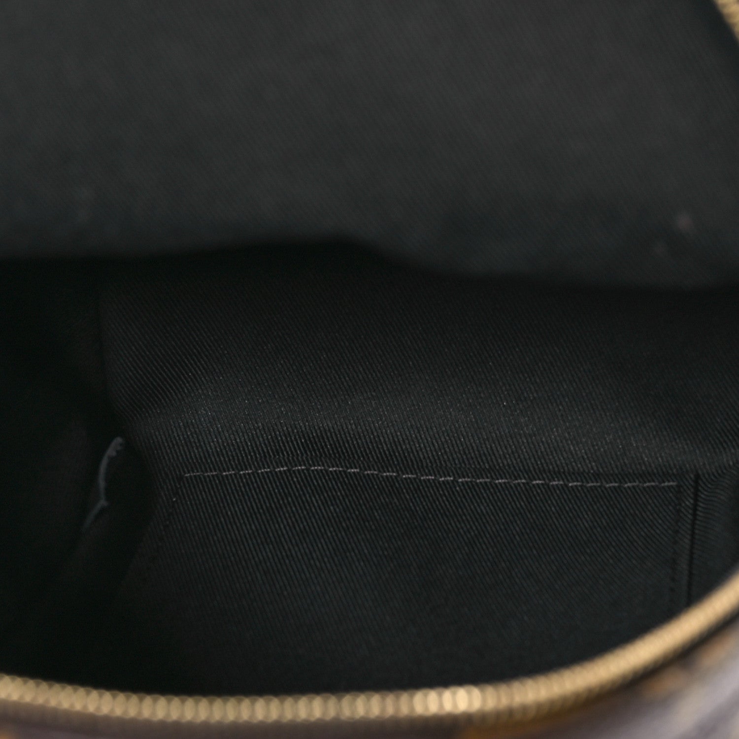 Louis Vuitton Monogram Palm Springs Backpack Mini 5 of 10