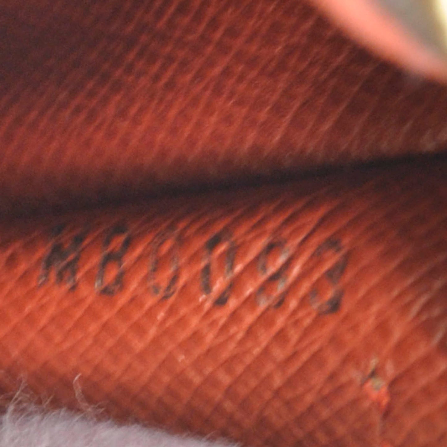 Damier Ebene Papillon 30