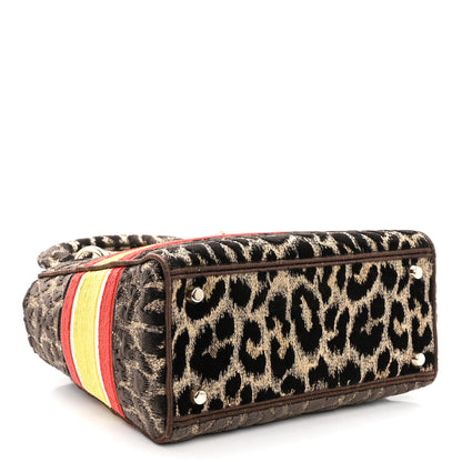 Christian Dior Velvet Mizza Embroidered Medium Lady D-Lite Beige Multicolor 4 of 9