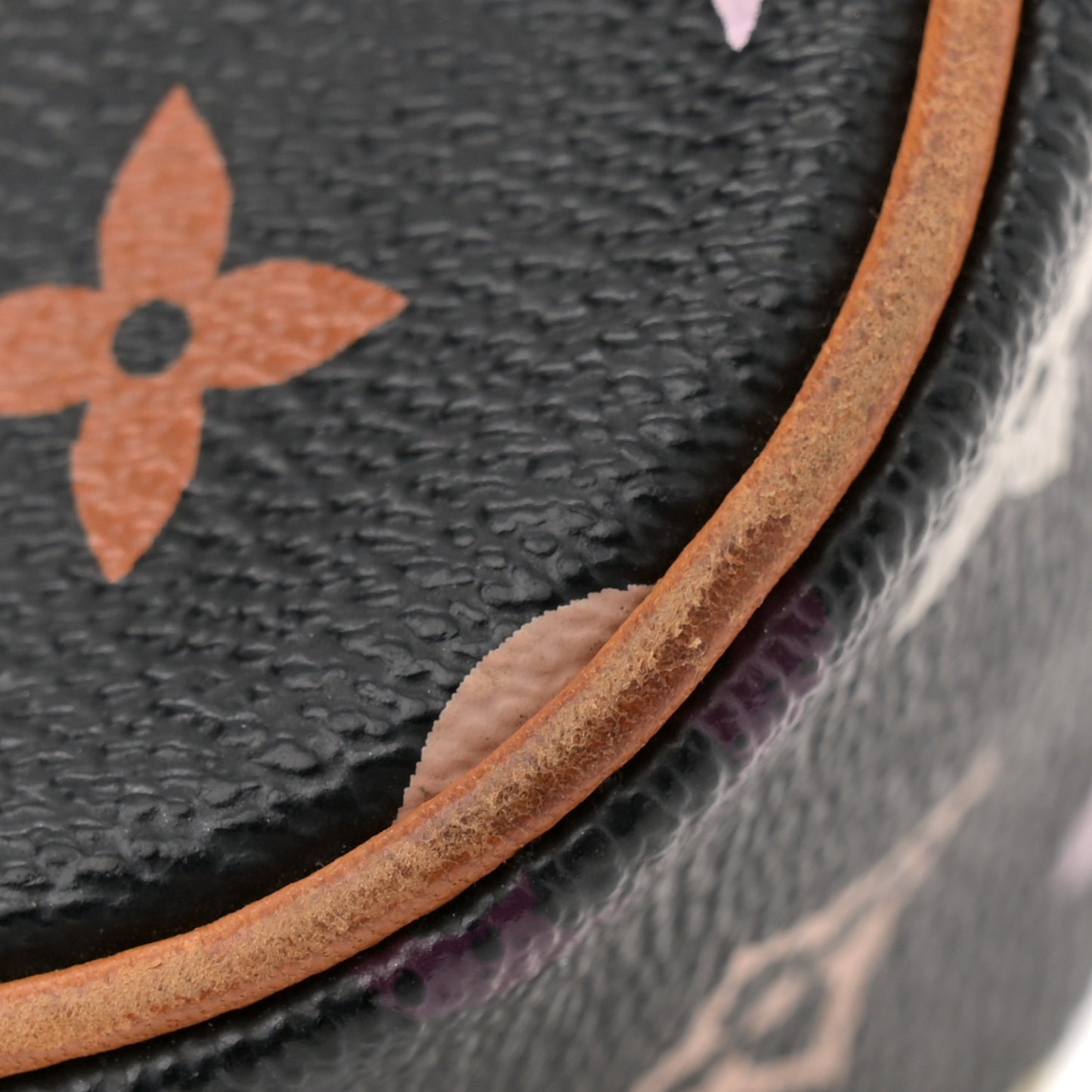 Monogram Multicolor Sologne Black