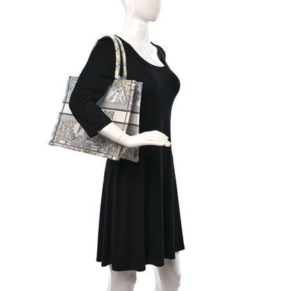 Christian Dior Canvas Embroidered Medium Rêve d'Infini Book Tote Multicolor 2 of 9