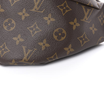 Louis Vuitton Monogram Bumbag 8 of 10