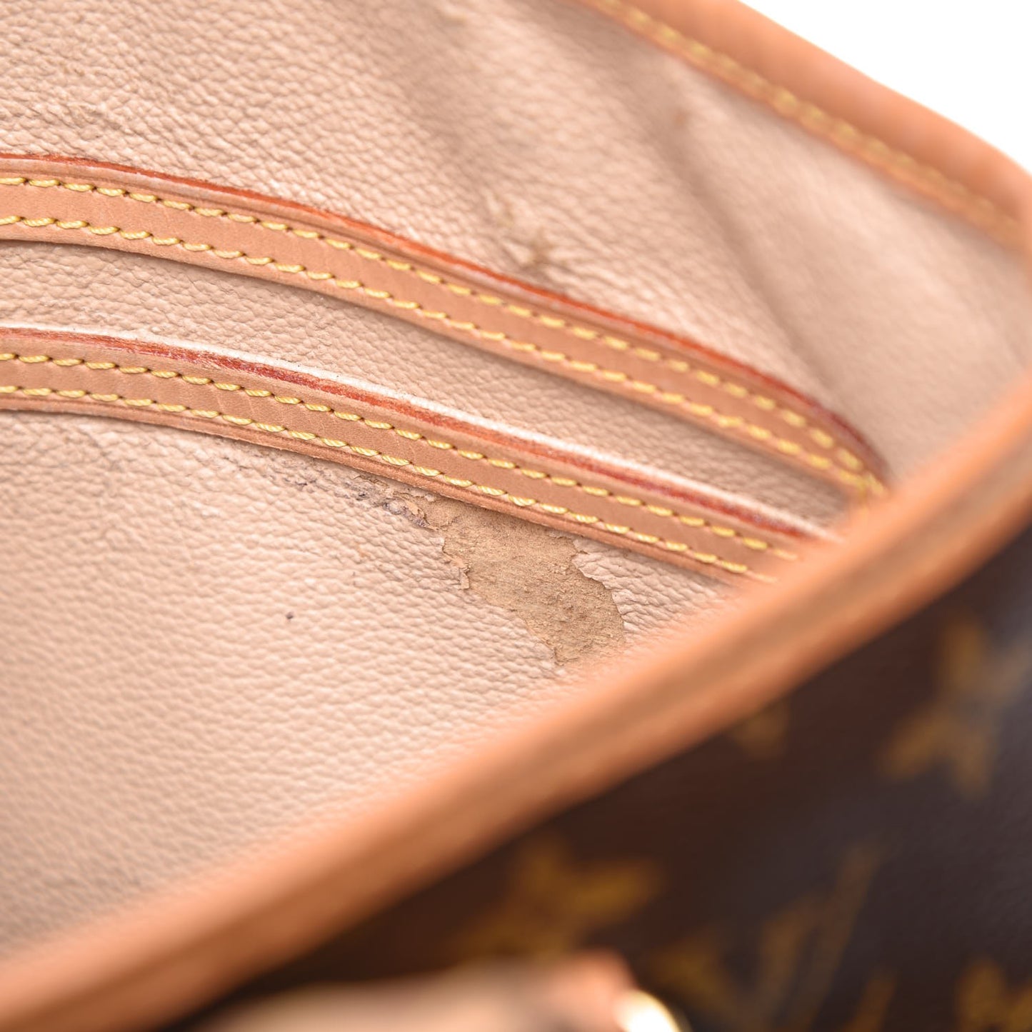 Monogram Petit Bucket 23
