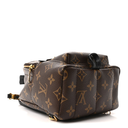 Louis Vuitton Monogram Palm Springs Backpack Mini 3 of 8