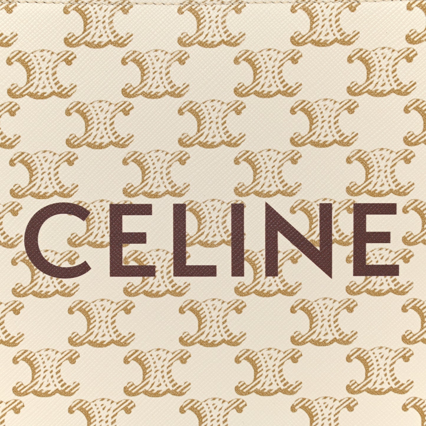 Triomphe Canvas Calfskin Mini Vertical Cabas White