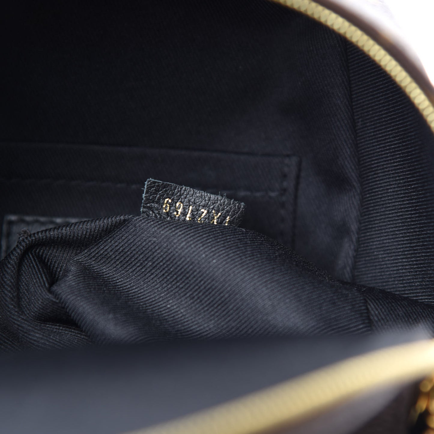 Monogram Palm Springs Backpack Mini