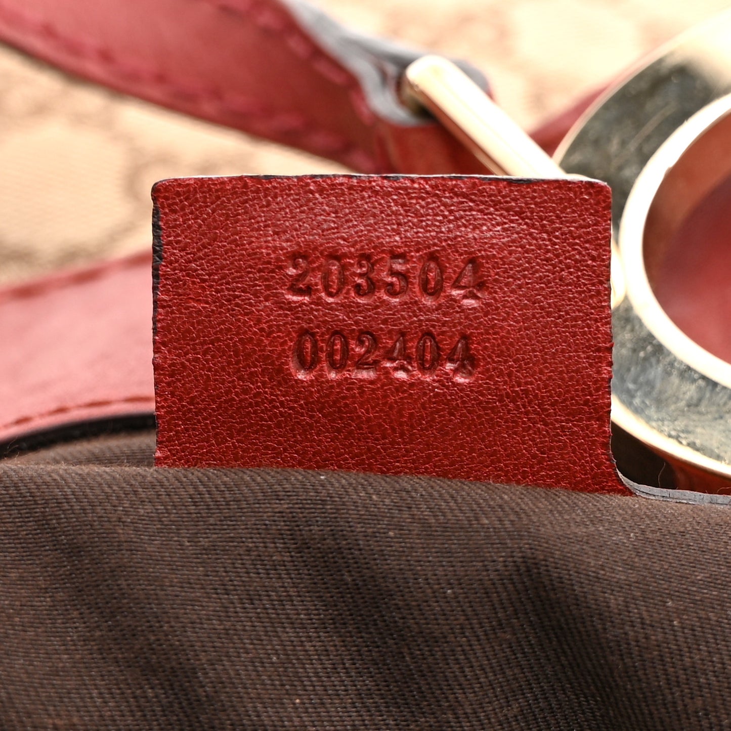 Monogram Medium Charlotte Hobo Red