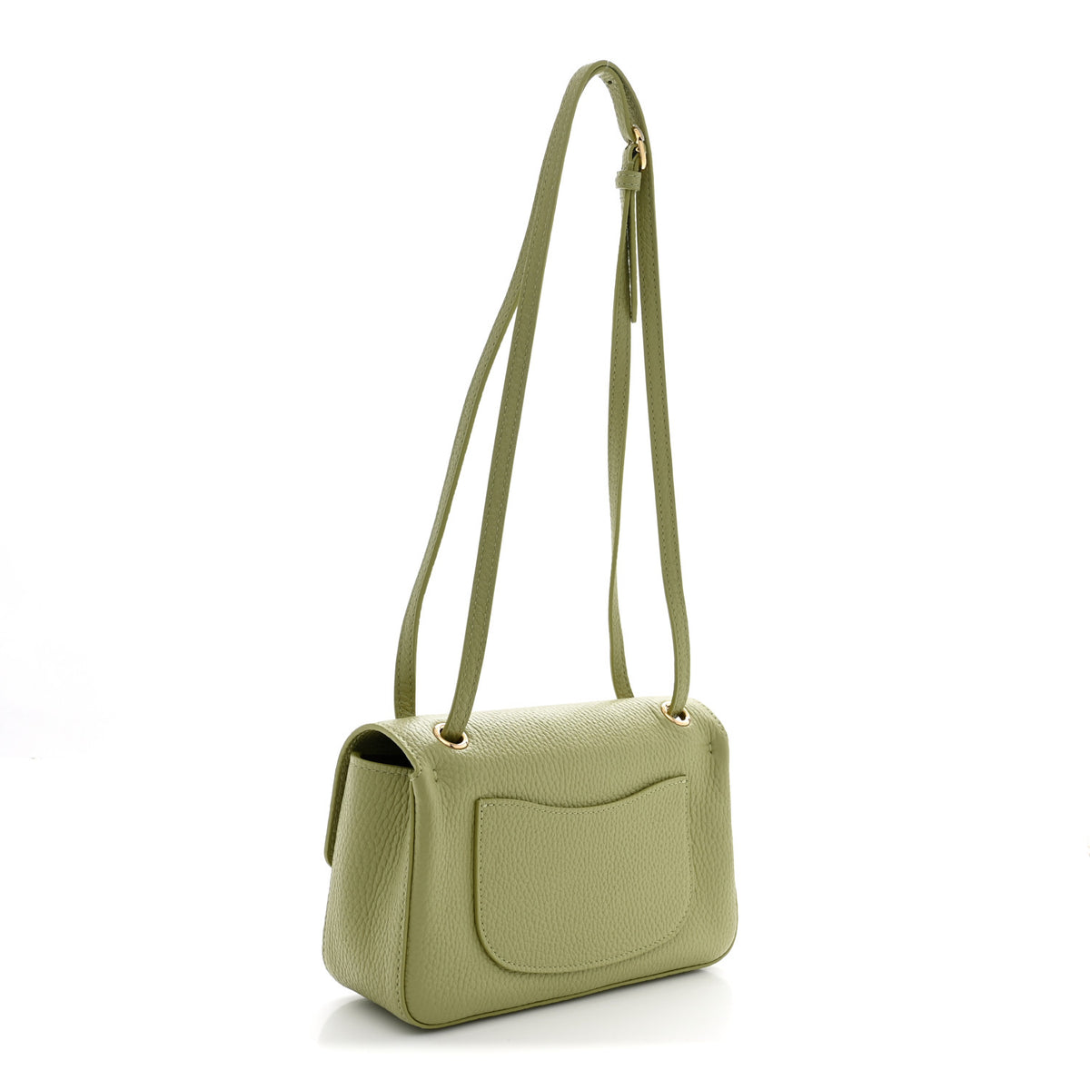 Grained Calfskin Mini Souplissimo Maxi Flap Green