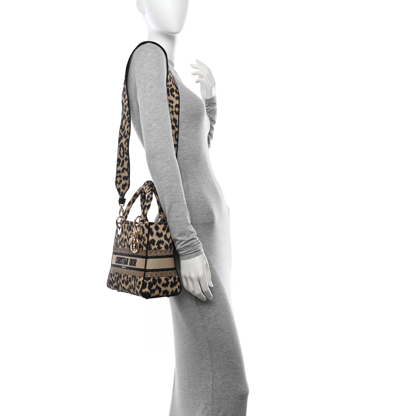 Canvas Medium Mizza Embroidered Lady D-Lite Beige Multicolor