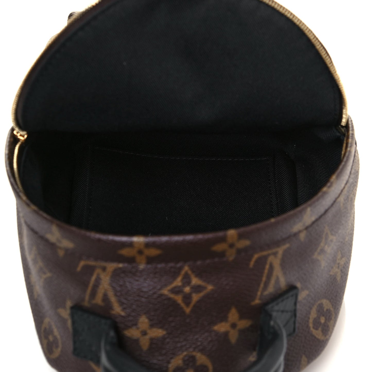 Monogram Palm Springs Backpack Mini