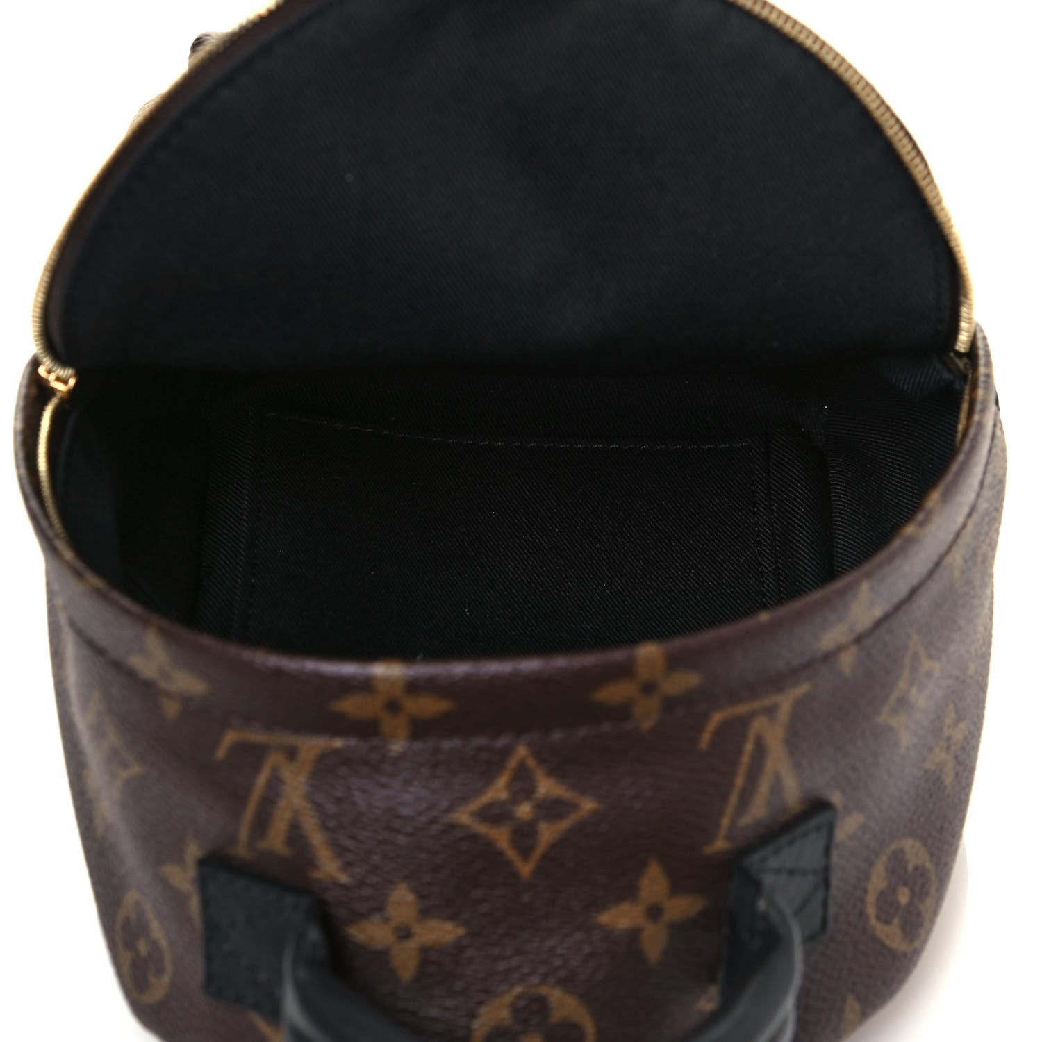 Louis Vuitton Monogram Palm Springs Backpack Mini 5 of 12