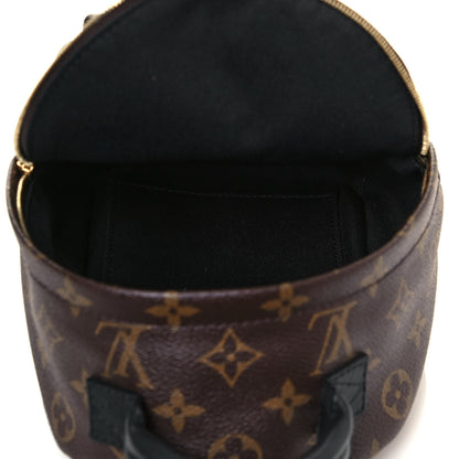 Louis Vuitton Monogram Palm Springs Backpack Mini 5 of 12