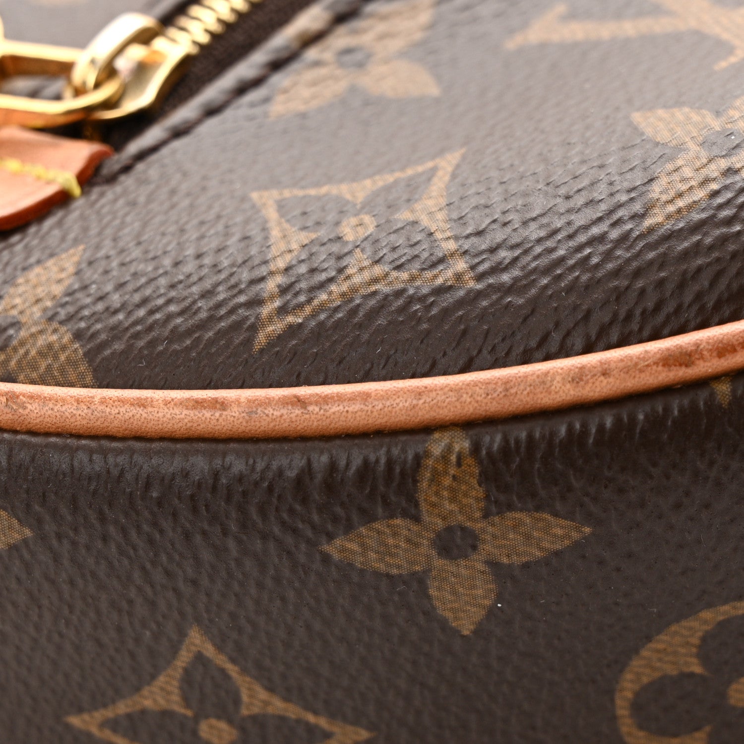 Louis Vuitton Monogram Loop 11 of 17