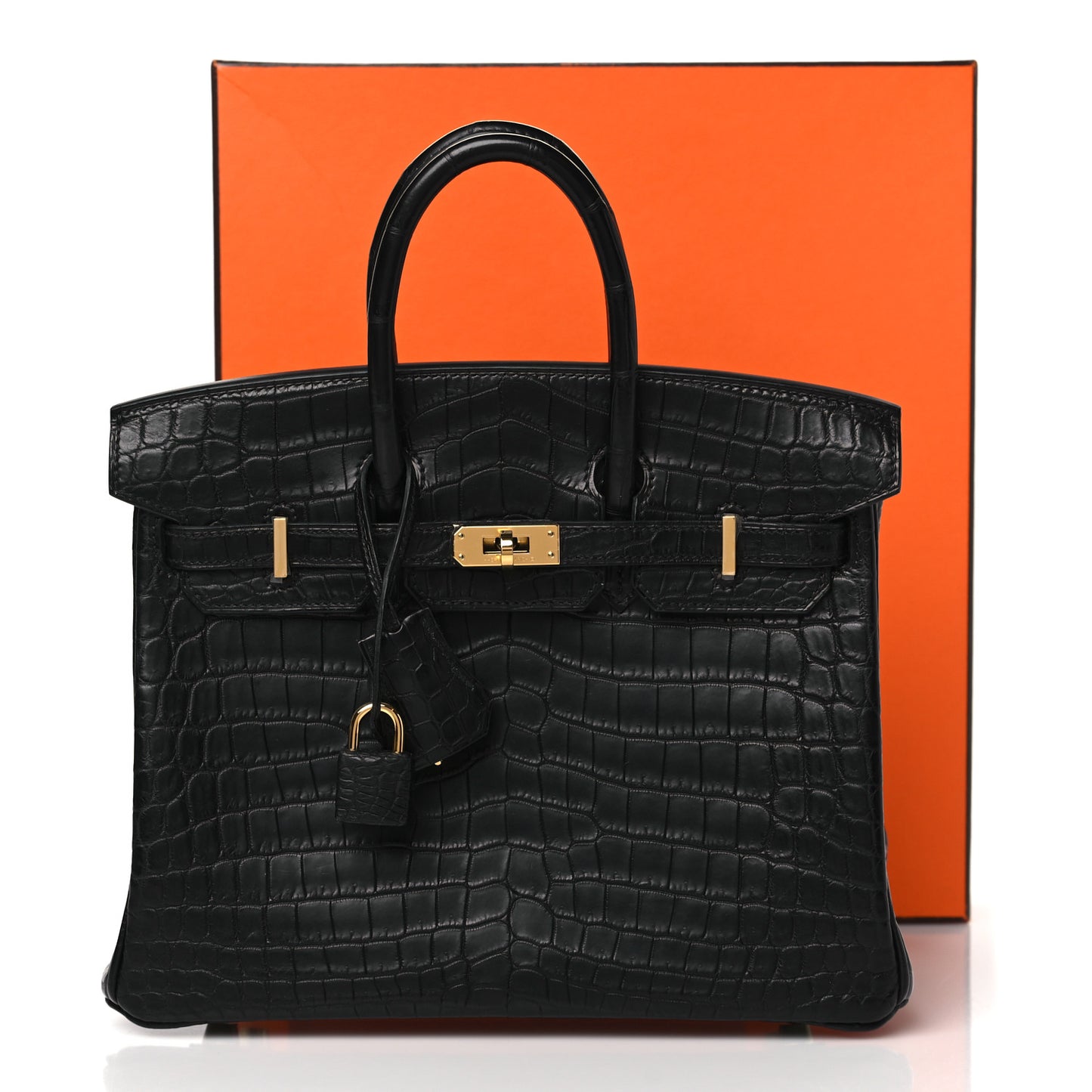 Matte Niloticus Crocodile Birkin 25 Black