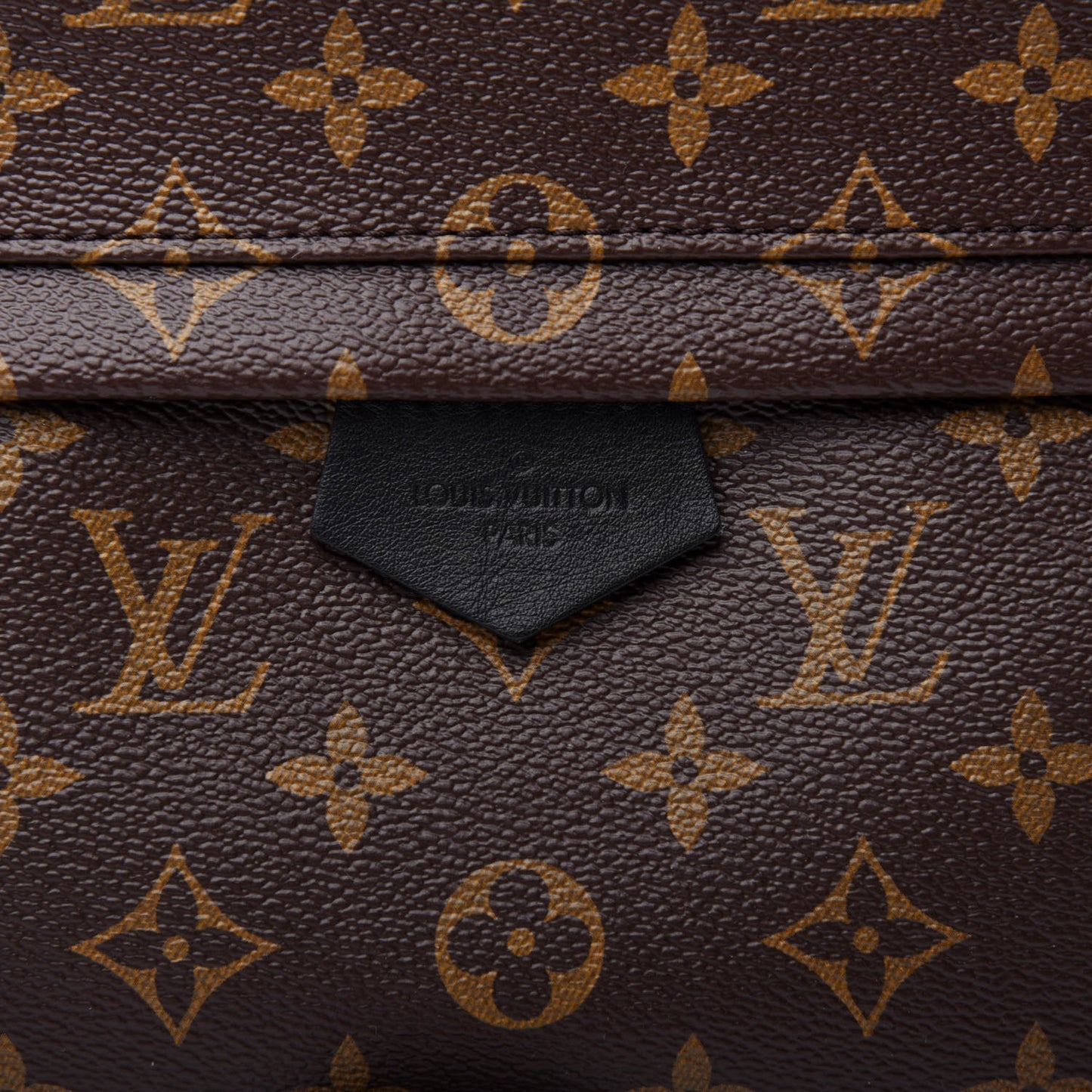 Monogram Palm Springs Backpack MM