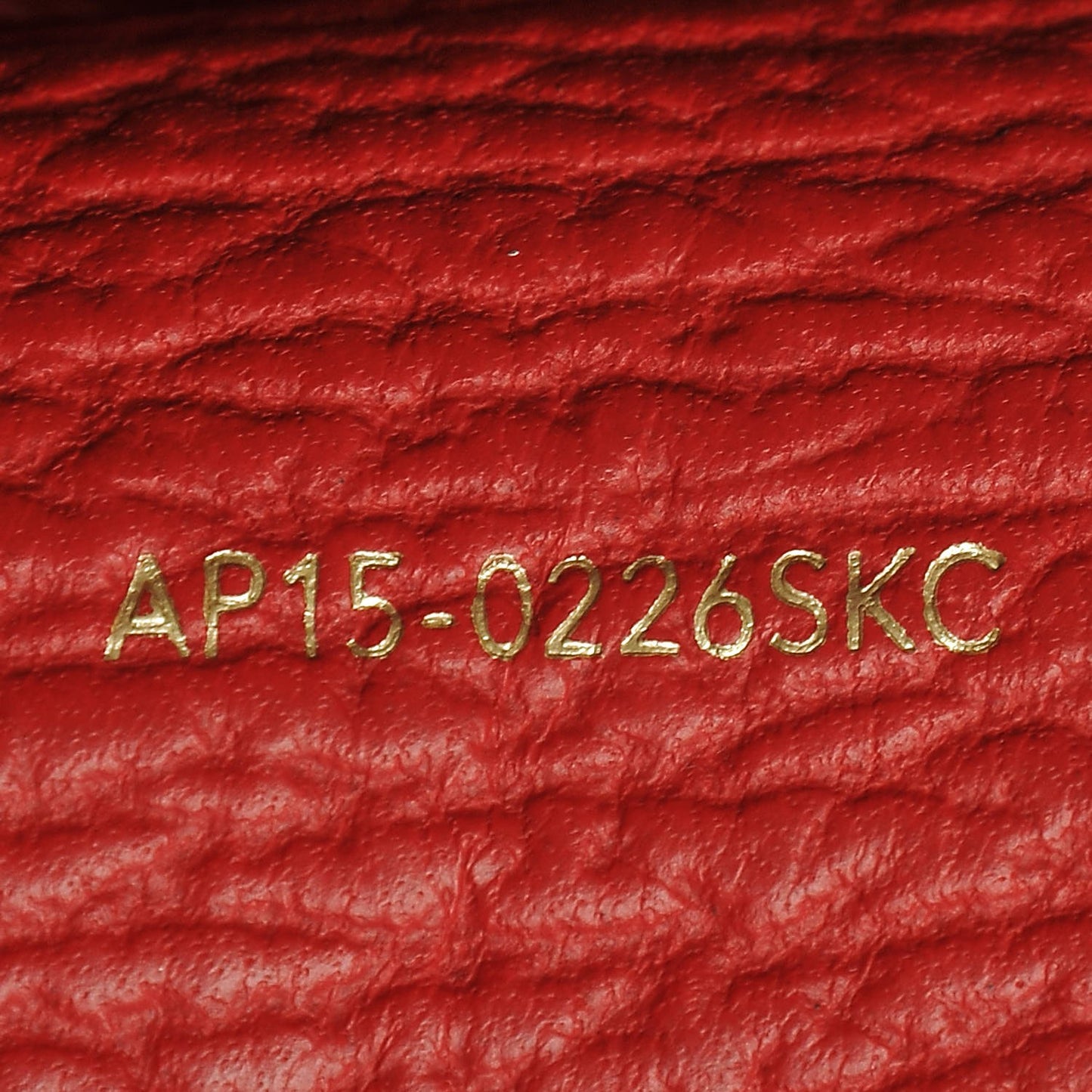 3.1 Textured Calfskin Mini Pashli Satchel Red