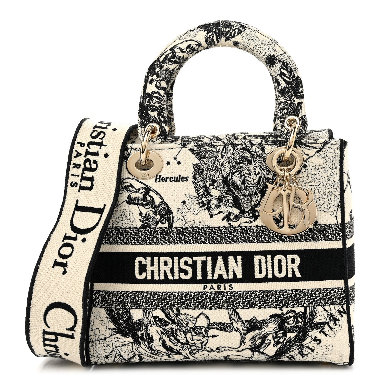 Christian Dior Canvas Embroidered Zodiac Toile De Jouy Medium Lady D-Lite Latte 1 of 11