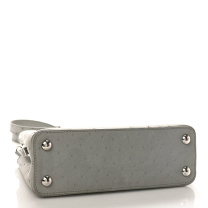 Louis Vuitton Ostrich Capucines BB Gris 4 of 9